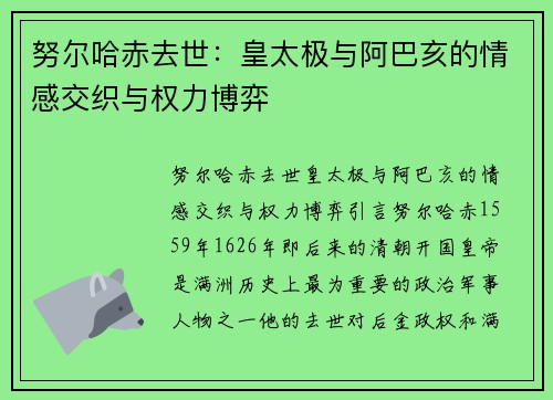 努尔哈赤去世：皇太极与阿巴亥的情感交织与权力博弈