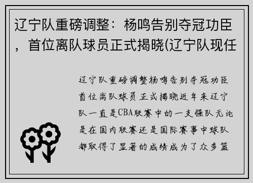 辽宁队重磅调整：杨鸣告别夺冠功臣，首位离队球员正式揭晓(辽宁队现任主教练杨鸣)