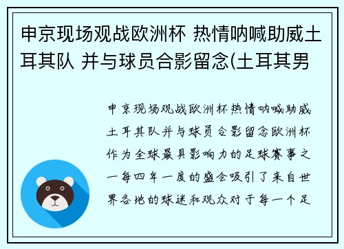 申京现场观战欧洲杯 热情呐喊助威土耳其队 并与球员合影留念(土耳其男篮申京)