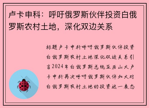 卢卡申科：呼吁俄罗斯伙伴投资白俄罗斯农村土地，深化双边关系